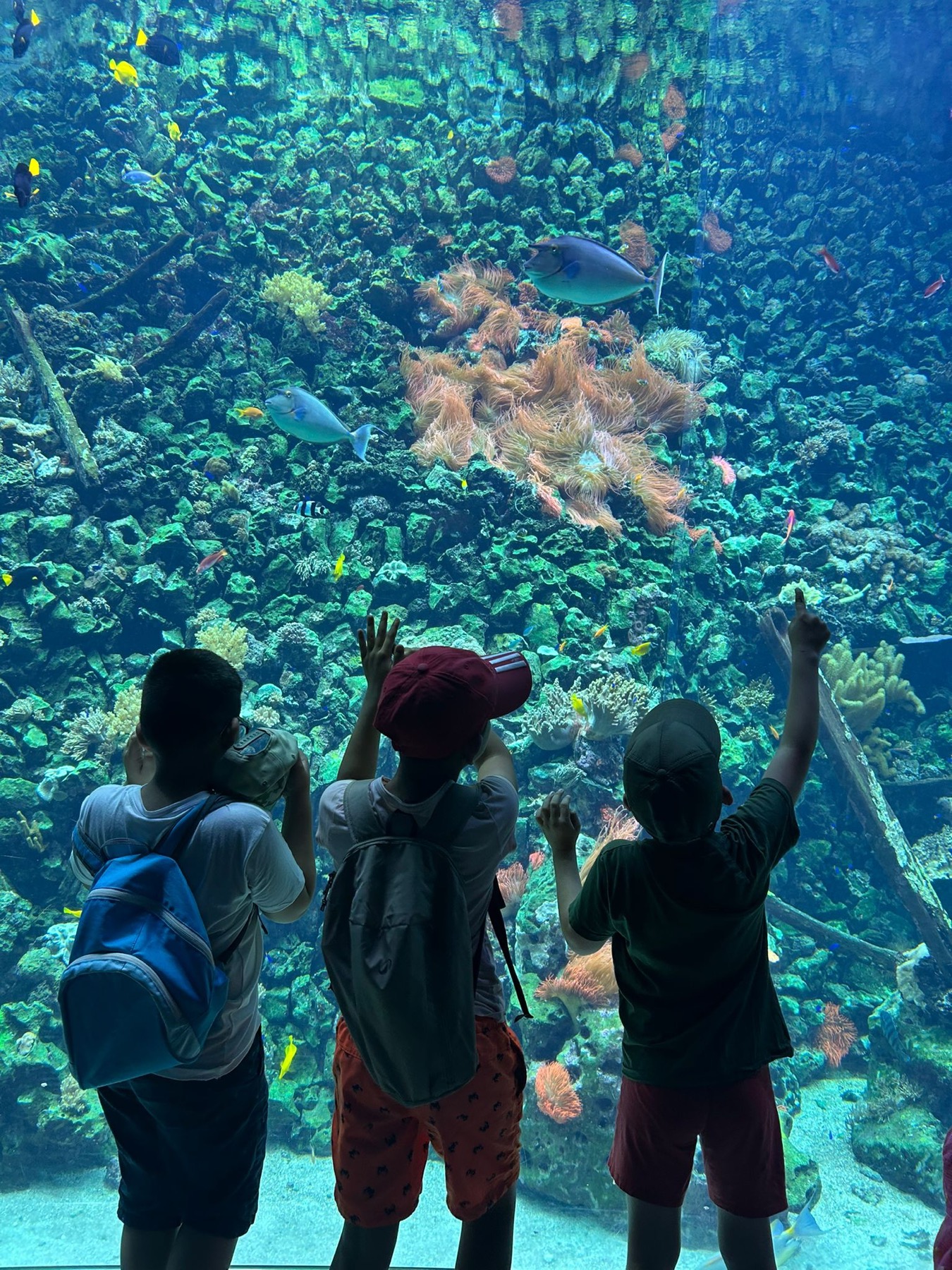 Kidsday met kinderen aan een aquarium
