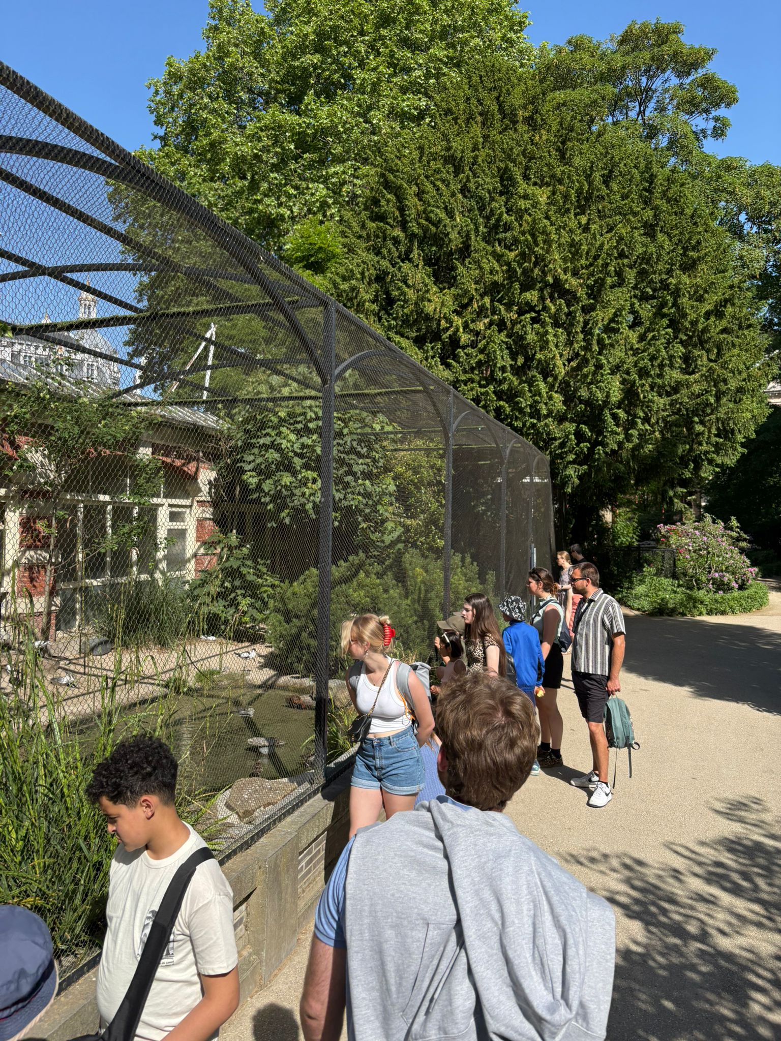 Groep tijdens Kidsday in de dierentuin